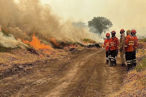 Emergencia por incendios en Mato Grosso do Sul