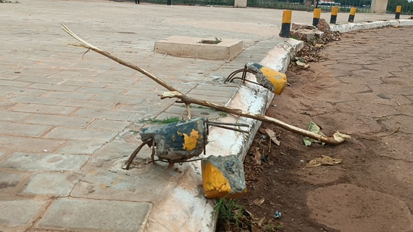 Inadaptados causan daños en el Mirador de la Ribera