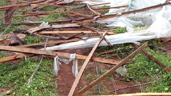 Tormenta inclemente genera destrozos en el Este del país