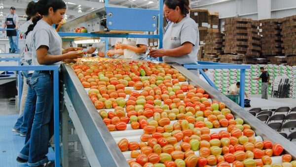 El super谩vit agroalimentario de la UE aument贸 un 13,8% en el primer trimestre - Revista PLUS