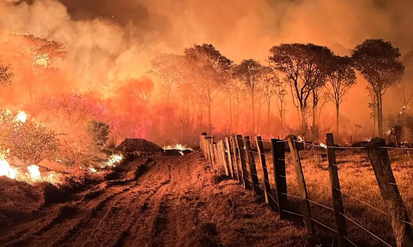 Mato Grosso do Sul declaró emergencia por las llamas que arrasan el Pantanal - Unicanal