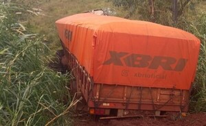 Camión fue a parar en una zanja a raíz de un desperfecto mecánico