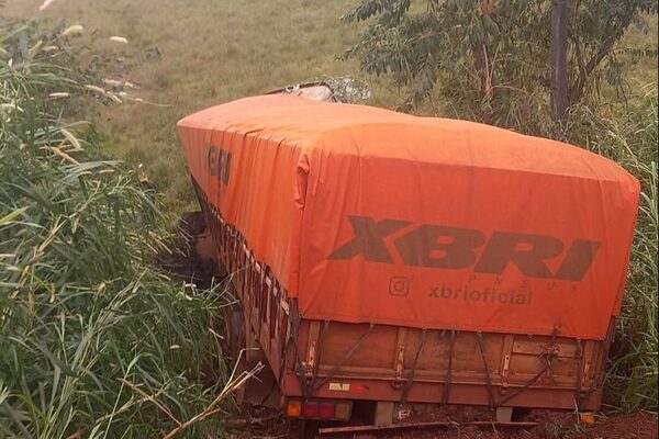 Camión se despistó y fue a parar a uno de los costados de la ruta