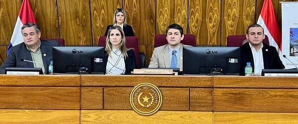 Acuerdan mesa de trabajo para definir límites entre Pdte. Franco y C. del Este – Diario TNPRESS