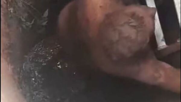 Sobrevivió 24 horas en el fondo de un pozo con agua