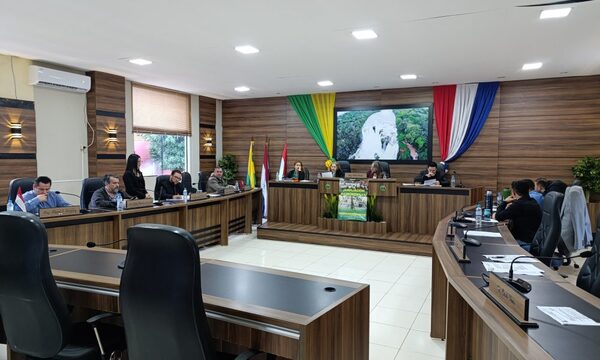 Grave denuncia contra concejales por despojo de terreno en Franco