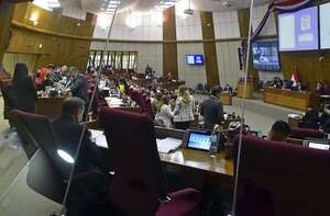 Hoy se trata proyecto de ley para acortar los plazos procesales: cómo están los votos en Diputados - Política - ABC Color