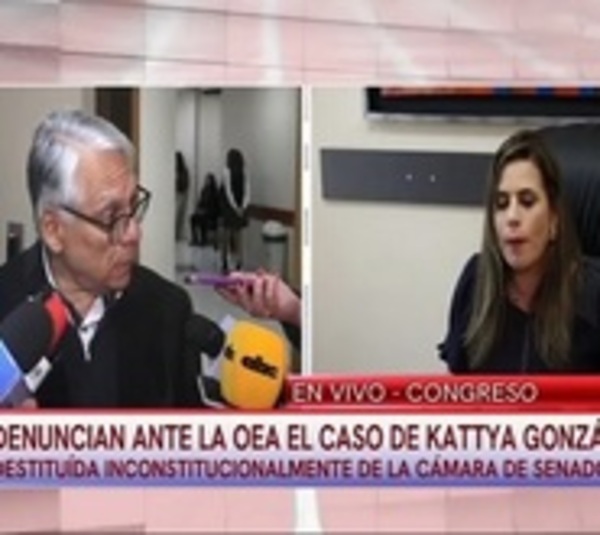 Denuncian la expulsión de Kattya ante la OEA - Paraguay.com