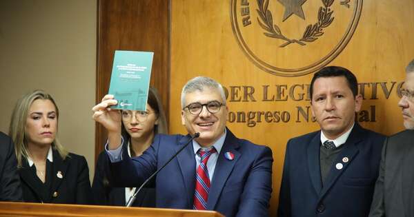 Diario HOY | OEA: advierten sobre ONGs que financian campañas para legalizar el aborto
