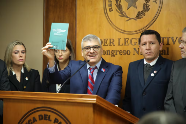 OEA: advierten sobre ONGs que financian campañas para legalizar el aborto