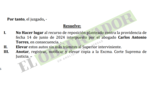 Estar en desacuerdo con una a decisión judicial, no es motivo para revocar una providencia, señala jueza