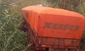 Chofer pierde control de camión por desperfecto mecánico y cae a una zanja – Prensa 5
