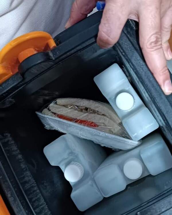 Tres bacterias responsables de intoxicación masiva en Concepción