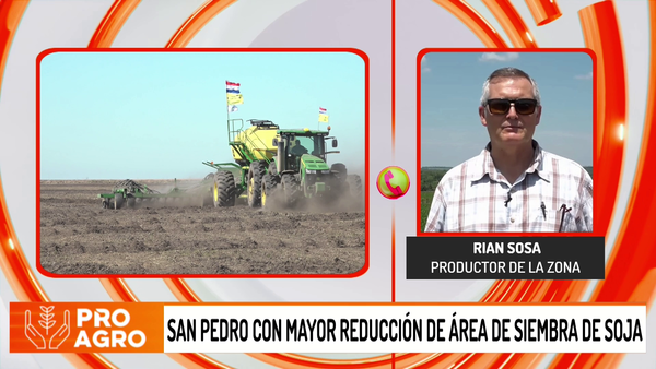 San Pedro registró resultados negativos en la producción de soja, por la falta de lluvias y altas temperaturas - Megacadena - Diario Digital
