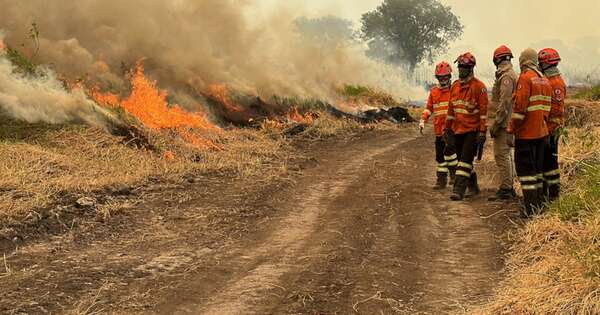 La Nación / Caótica situación de habitantes del Pantanal frente a incendios