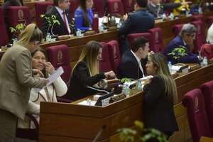 Diputados reprograman G. 16.816 millones para salarios - Política - ABC Color