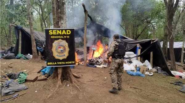 Encuentran megacampamento, con reglamento interno y toneladas de marihuana - Noticiero Paraguay