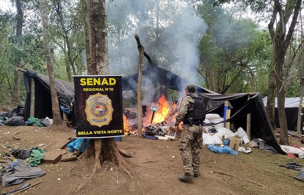 Golpe de la SENAD: Desmantela mega complejo narco y toneladas de marihuana