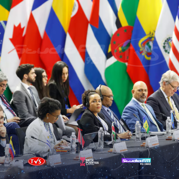 GOBIERNO DE PEÑA SE DECLARA PROVIDA Y PROFAMILIA EN LA CUMBRE DE LA OEA - TVS