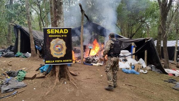 Encuentran megacampamento, con reglamento interno y toneladas de marihuana