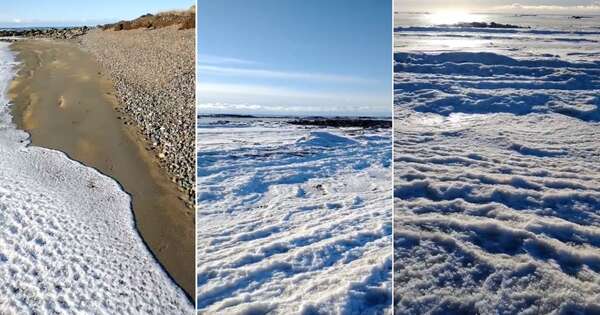 Diario HOY | VIDEO| Las olas de mar se congelan por el frío extremo en Argentina