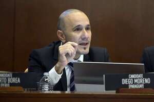 CIDH: jurista asegura que el perfil de Diego Moreno está “sobrecalificado” para el cargo - Política - ABC Color