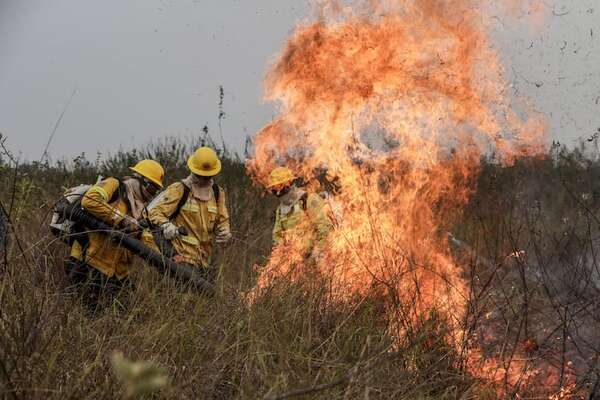 Incendios en Bolivia, Paraguay y Brasil provocan las más altas emisiones de CO2 en 20 años - Mundo - ABC Color