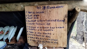 Senad desmantela campamento narco en Amambay y encuentran curiosos "11 mandamientos" - Noticias Paraguay