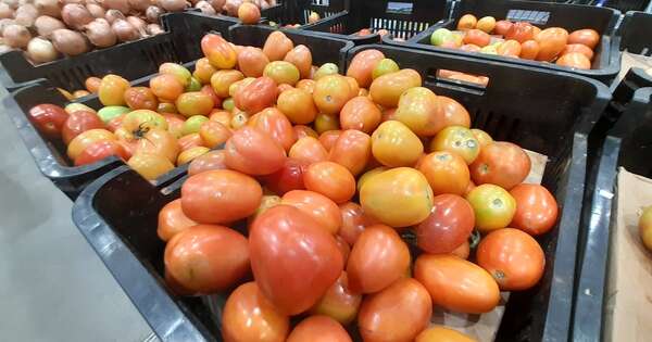 La Nación / Todavía hay escasez de tomate y prevén habilitar importación