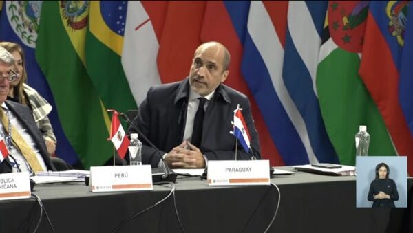 Paraguay reafirma su compromiso con la vida y la familia ante la OEA - El Trueno