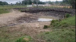 Desesperada búsqueda de agua: Productores abren tajamar con palas y carretillas 