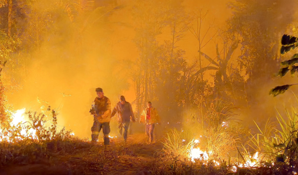 Incendios en Bolivia, Paraguay y Brasil provocan las m谩s altas emisiones de CO2 en 20 a帽os - Revista PLUS
