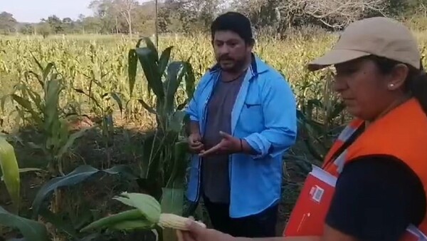 Sequía perjudica a 500 familias en Liberación y urgen ayuda de la SEN