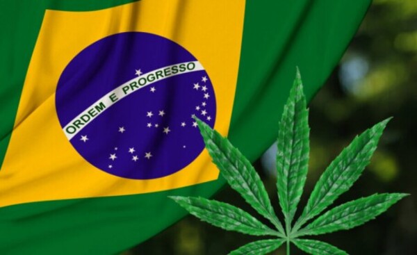 Brasil despenaliza el consumo de marihuana