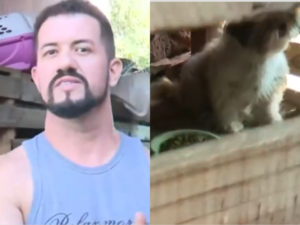 (VIDEO). Rescataron a perros que vivían en deplorable estado en Limpio