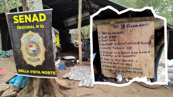 "11 Narco-Mandamientos": Senad desmanteló peculiar campamento de marihuana - trece