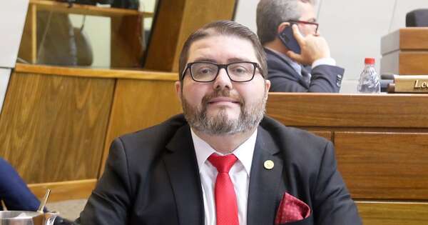 La Nación / Instan al Senado a aprobar modificaciones al proyecto que eleva penas por robo de energía