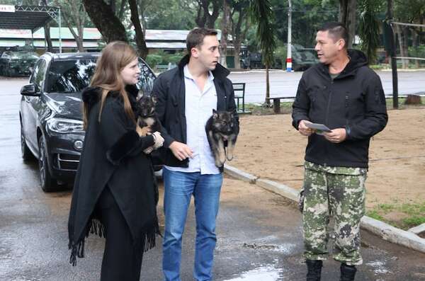 Hija y yerno de Cartes donan dos cachorros de Pastor Alemán al Regimiento Escolta Presidencial - Nacionales - ABC Color