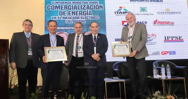 La Nación / Expertos brasileros dieron detalles sobre comercialización de energía en Brasil