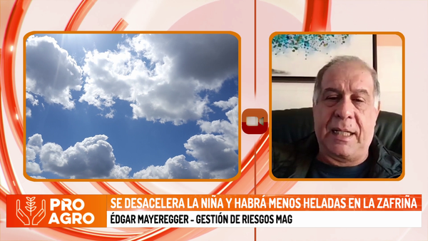 Se desacelera la niña y habrá menos heladas en la zafriña - Megacadena - Diario Digital