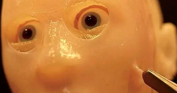 Una visión del futuro: Japón crea piel viva para robots humanoides