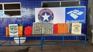 Alto Paraná es el principal productor de marihuana ante desidia de la SENAD - La Clave