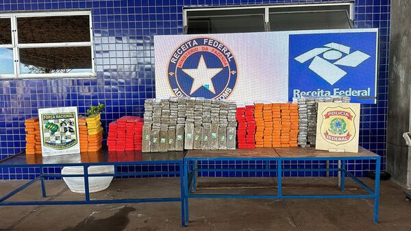 Alto Paraná es el principal productor de marihuana ante desidia de la SENAD - La Clave