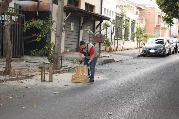 'Operativo Despeje' logró reducir cajas para privatización de estacionamiento