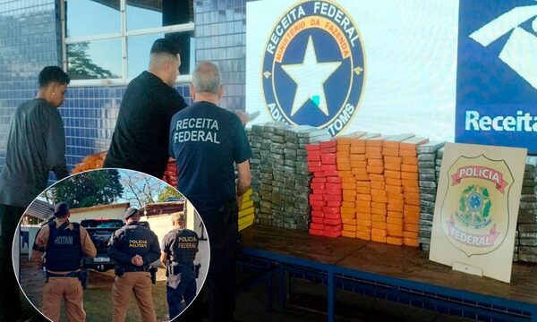 Fuga, choque y decomiso de 455 kilos de marihuana ocultas en doble fondo – Diario TNPRESS