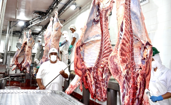 Índice HHI revela extrema concentración en el mercado cárnico local - MarketData