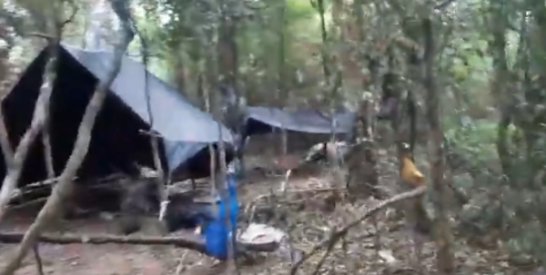 Agentes de SENAD allanaron campamento de “Macho”
