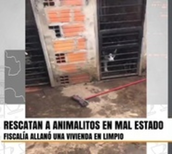 Fiscalía rescata a animales enjaulados en una vivienda en Limpio - Paraguay.com