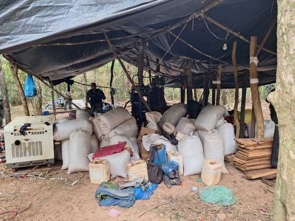 Hallan campamento de “Macho” en Canindeyú - trece