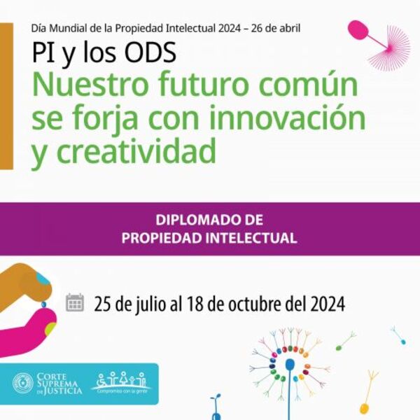Inscripciones habilitadas para el diplomado virtual en PI